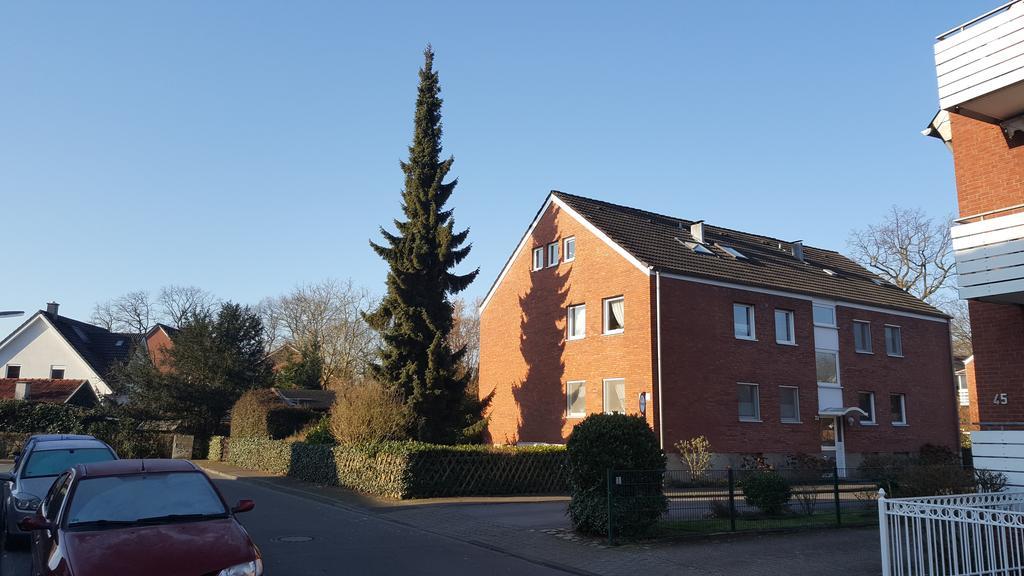 Munstersdachstubchen Apartment Ruang foto